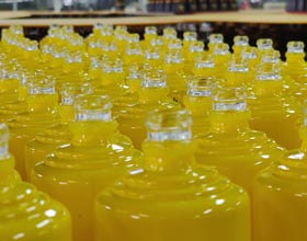 Green Initiatives dalam manufaktur botol minuman keras
